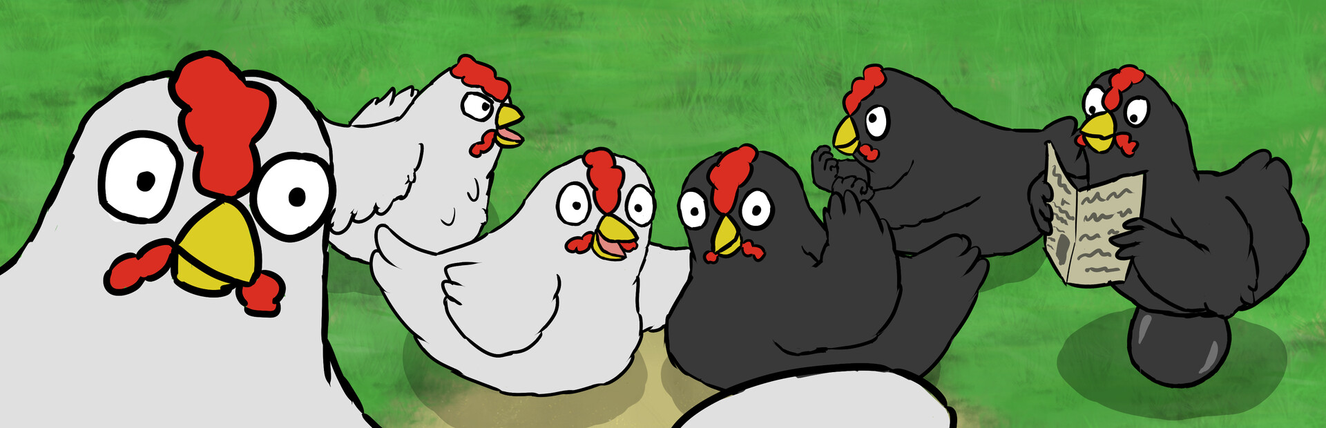 Broilers