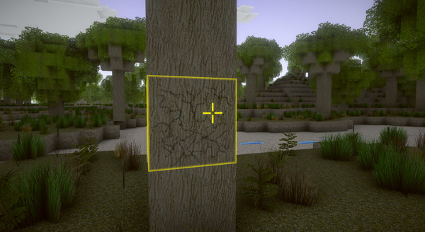 Screenshot z CRAFTSMAN