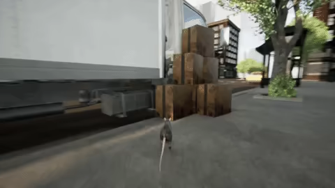 New York Rat Simulator video 1