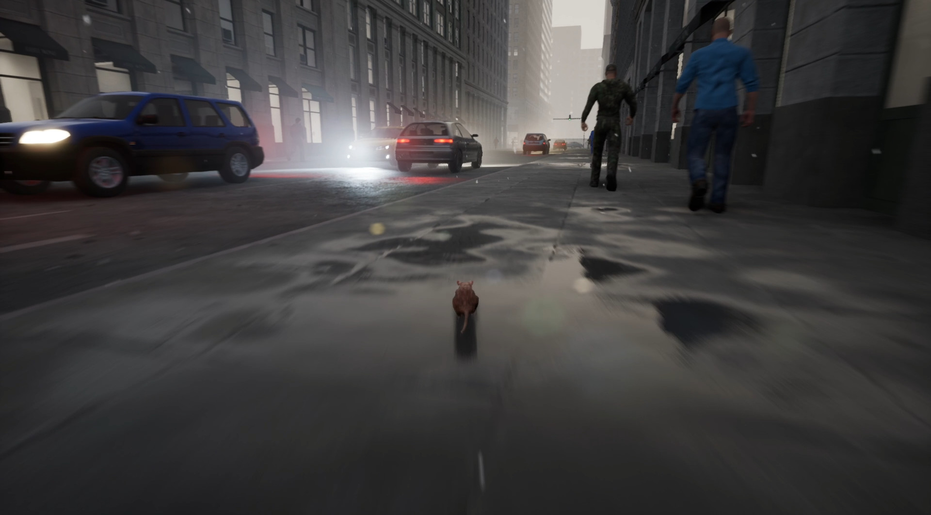 New York Rat Simulator