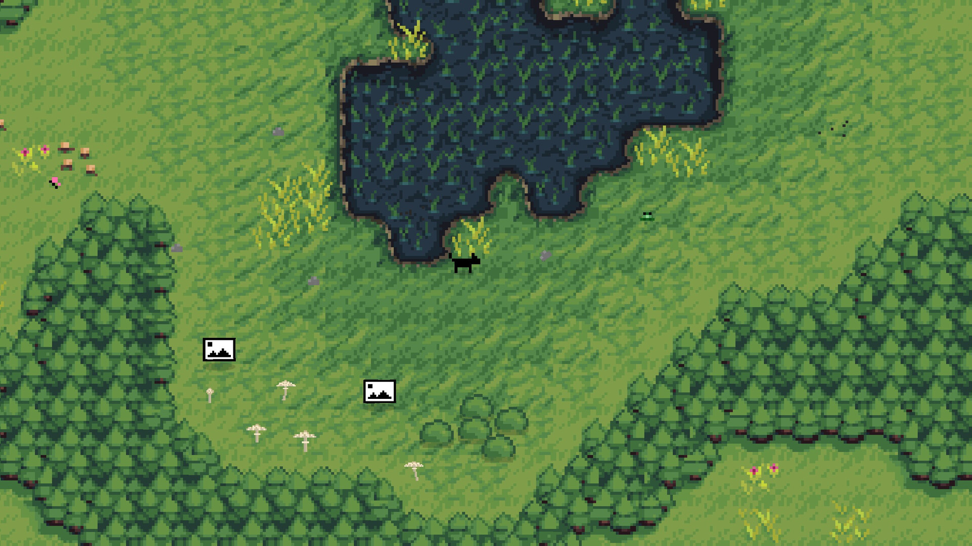A Walk With My Dog screenshot 12