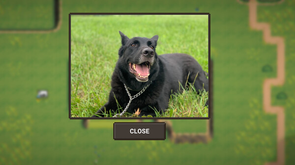 A Walk With My Dog screenshot 6