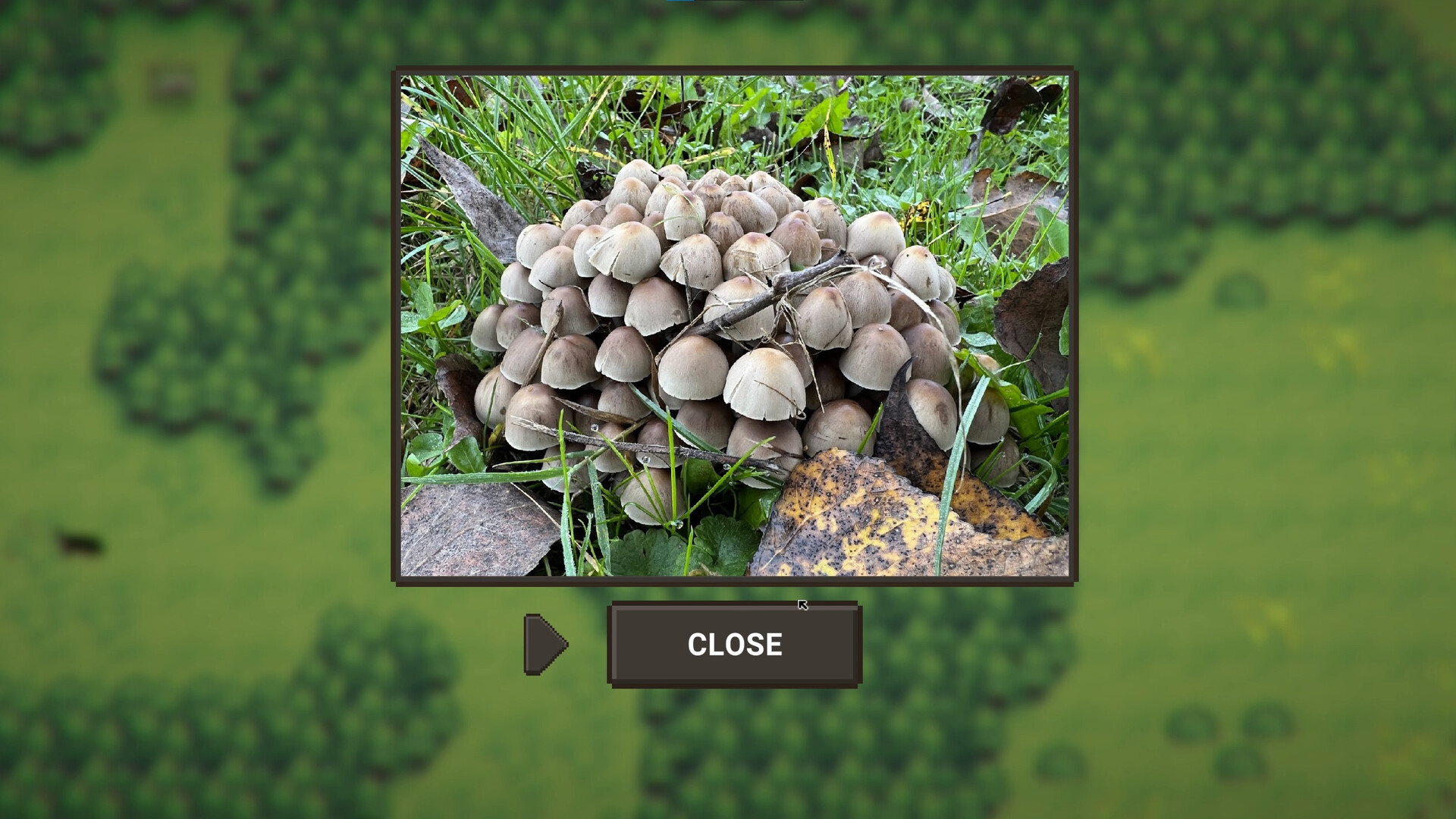 A Walk With My Dog screenshot 8