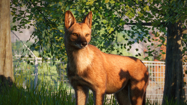 KHAiHOM.com - Planet Zoo: Southeast Asia Animal Pack