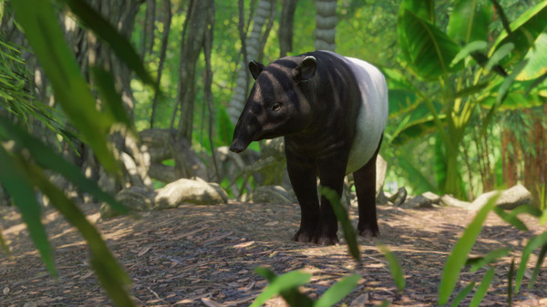 KHAiHOM.com - Planet Zoo: Southeast Asia Animal Pack