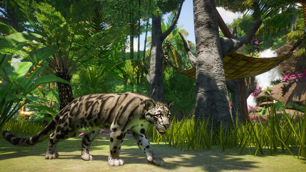 KHAiHOM.com - Planet Zoo: Southeast Asia Animal Pack