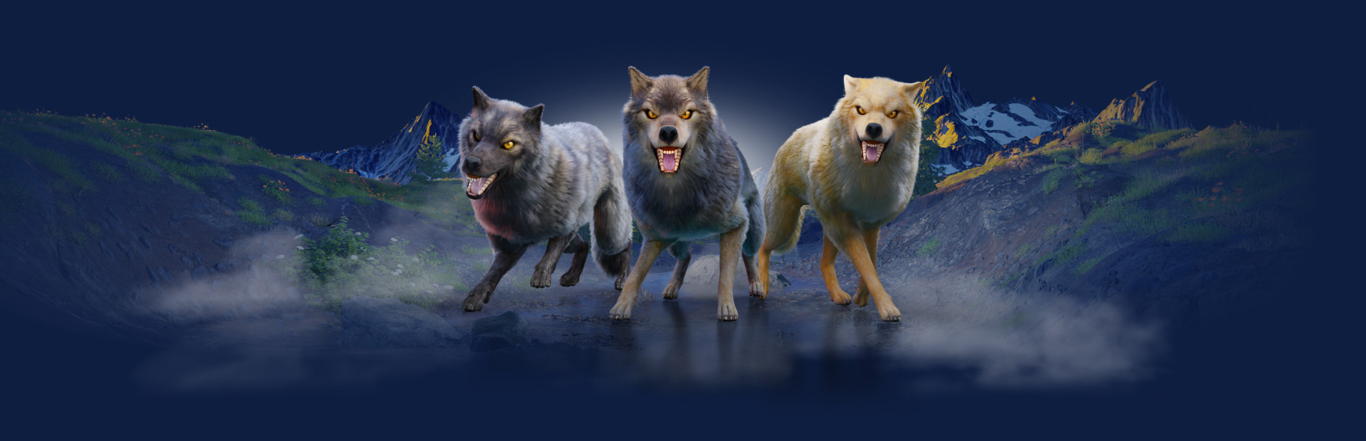 The Wolf