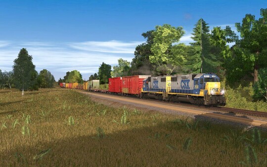 Screenshot z Trainz 2019 DLC - Leadville Subdivision