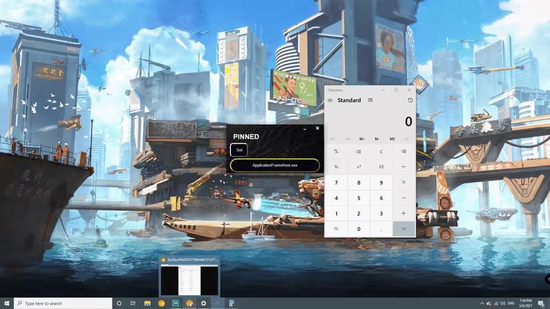 Pinned video 2