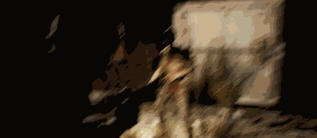 FIRST video 4