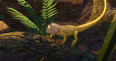 Captura n.º 3