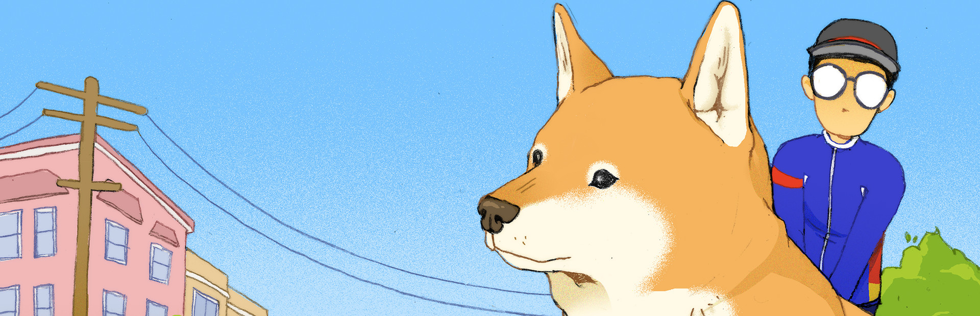 A Shiba Story