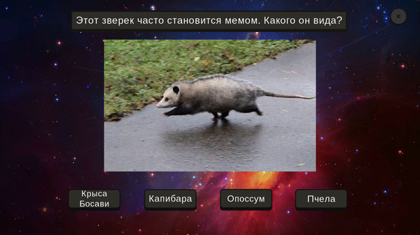 Screenshot z МЕМОЛОГИЯ Screenshot z МЕМОЛОГИЯ