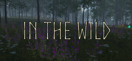 In the Wild cover art
