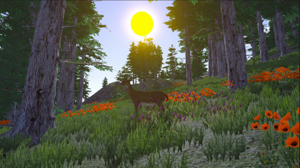 Screenshot z In the Wild Screenshot z In the Wild