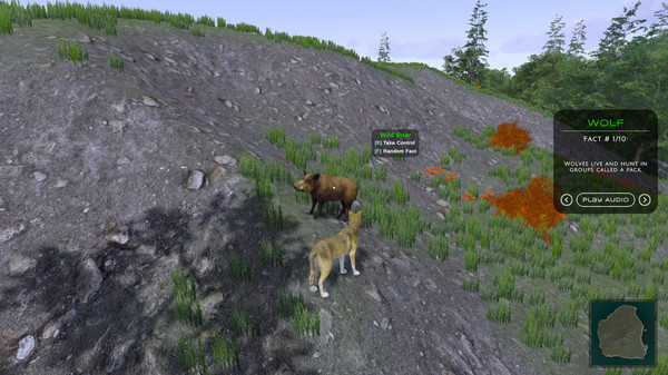 Screenshot z In the Wild Screenshot z In the Wild