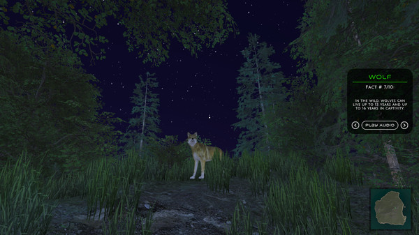 Screenshot z In the Wild Screenshot z In the Wild