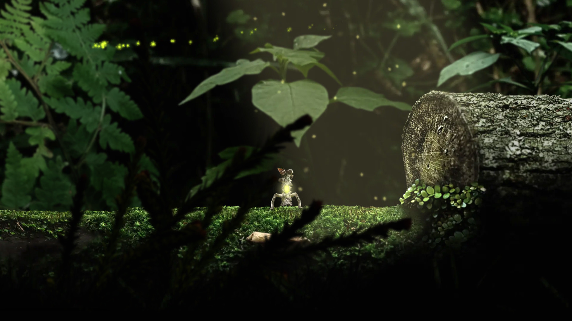 Seedlings screenshot