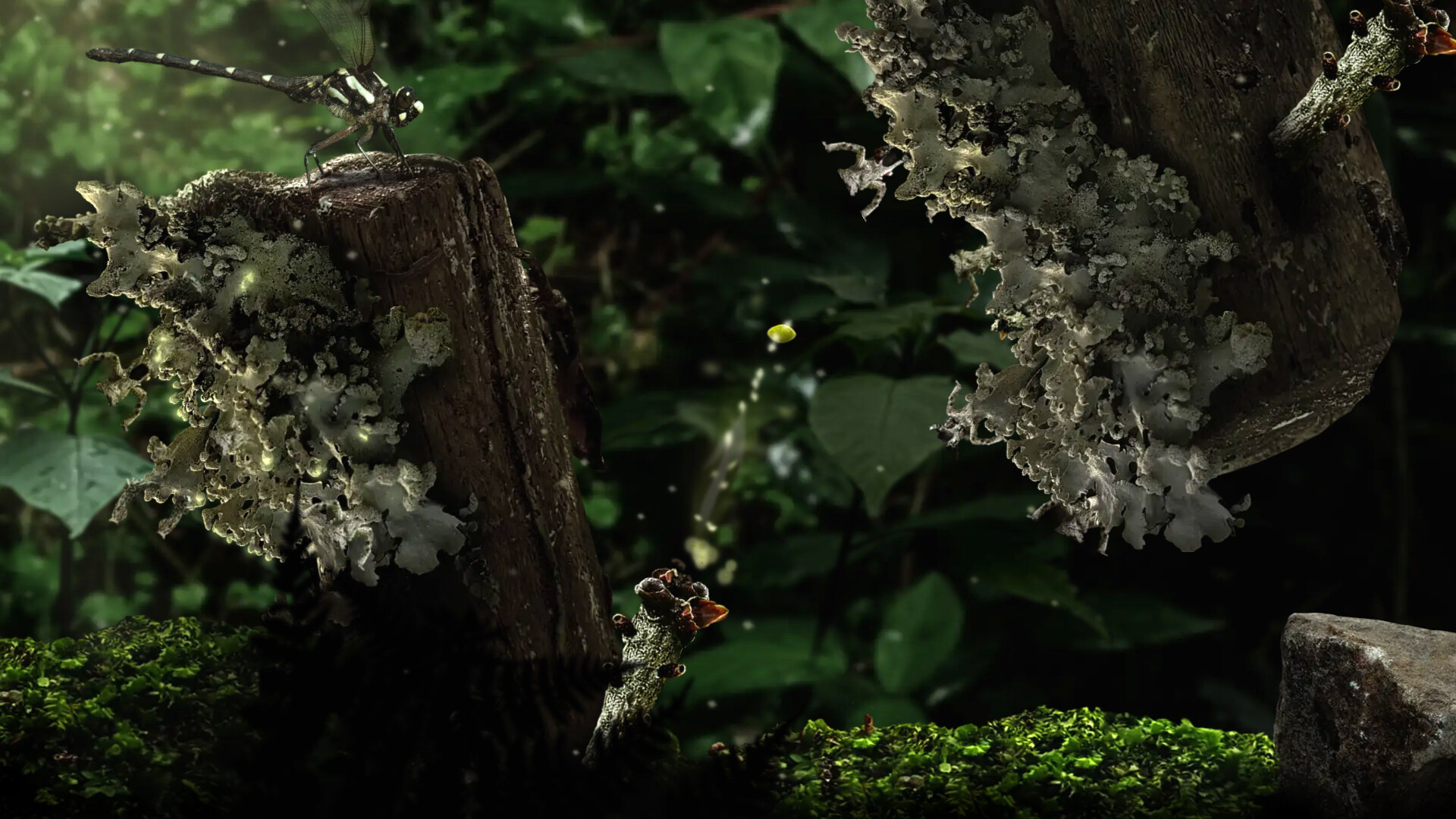 Seedlings screenshot #5