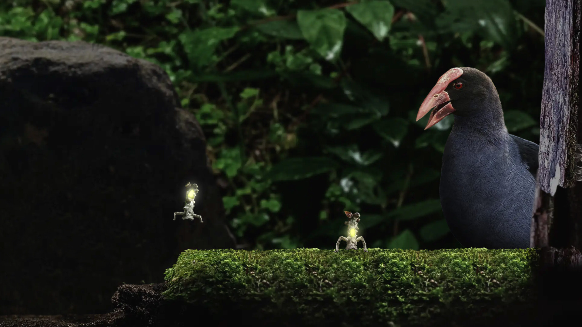 Seedlings screenshot 6
