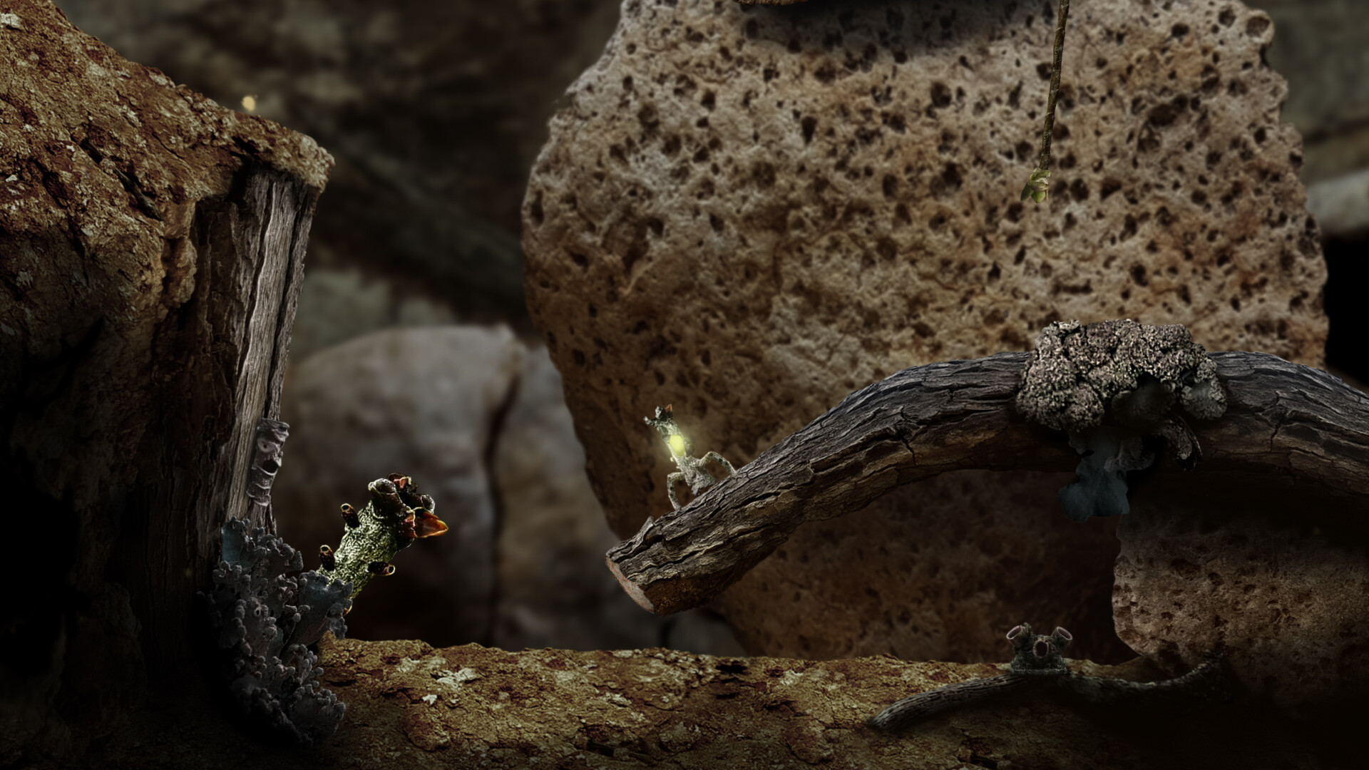 Seedlings screenshot #2