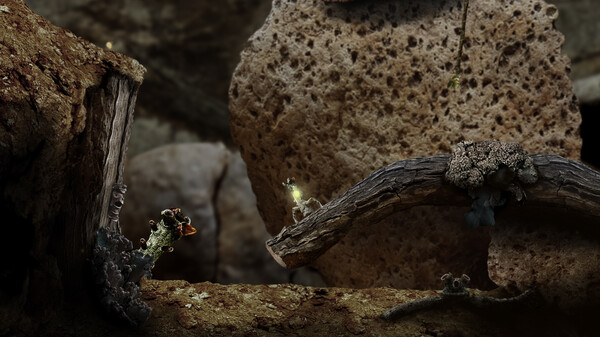 Seedlings screenshot 2