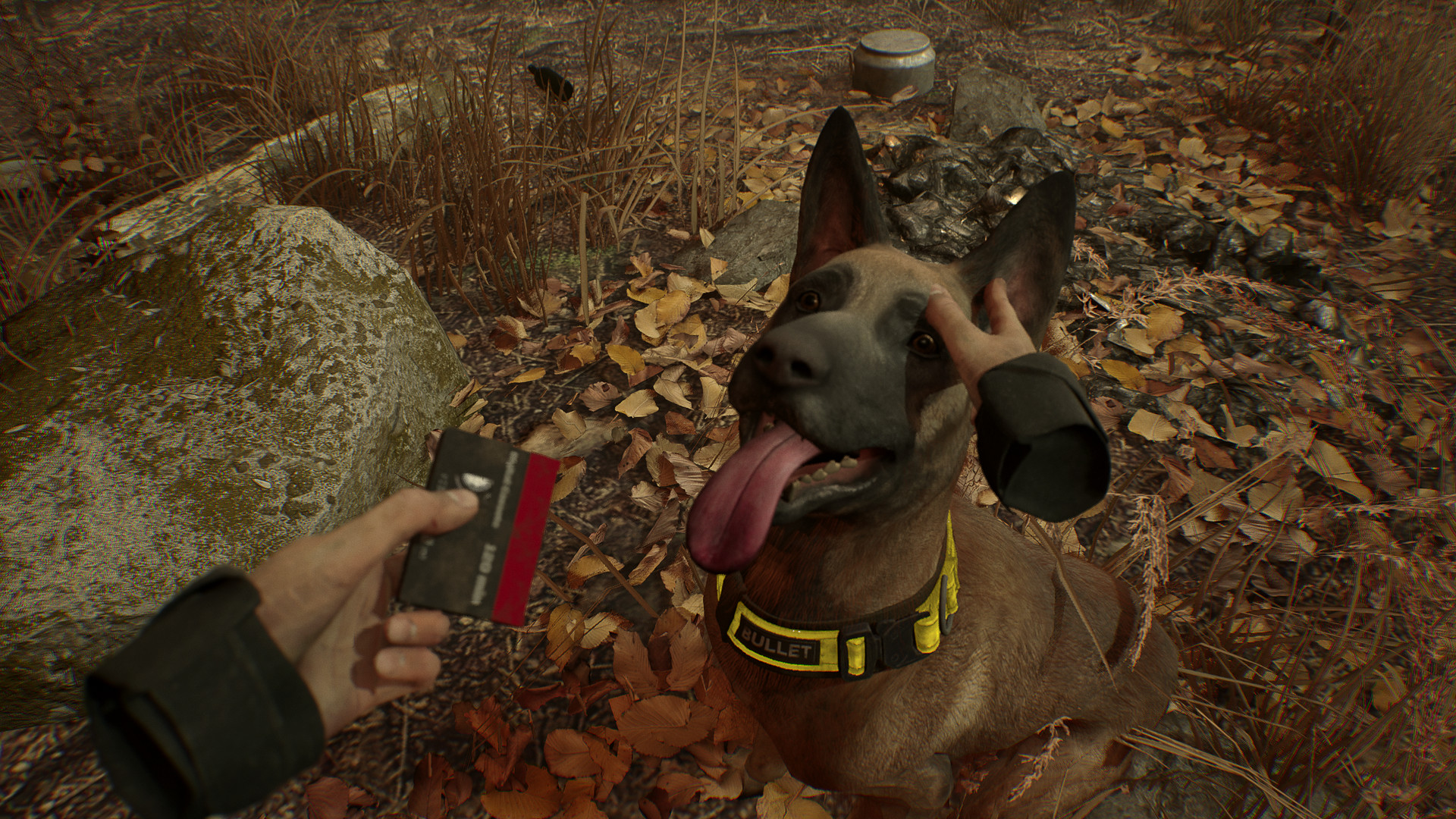 Blair Witch VR screenshot #8