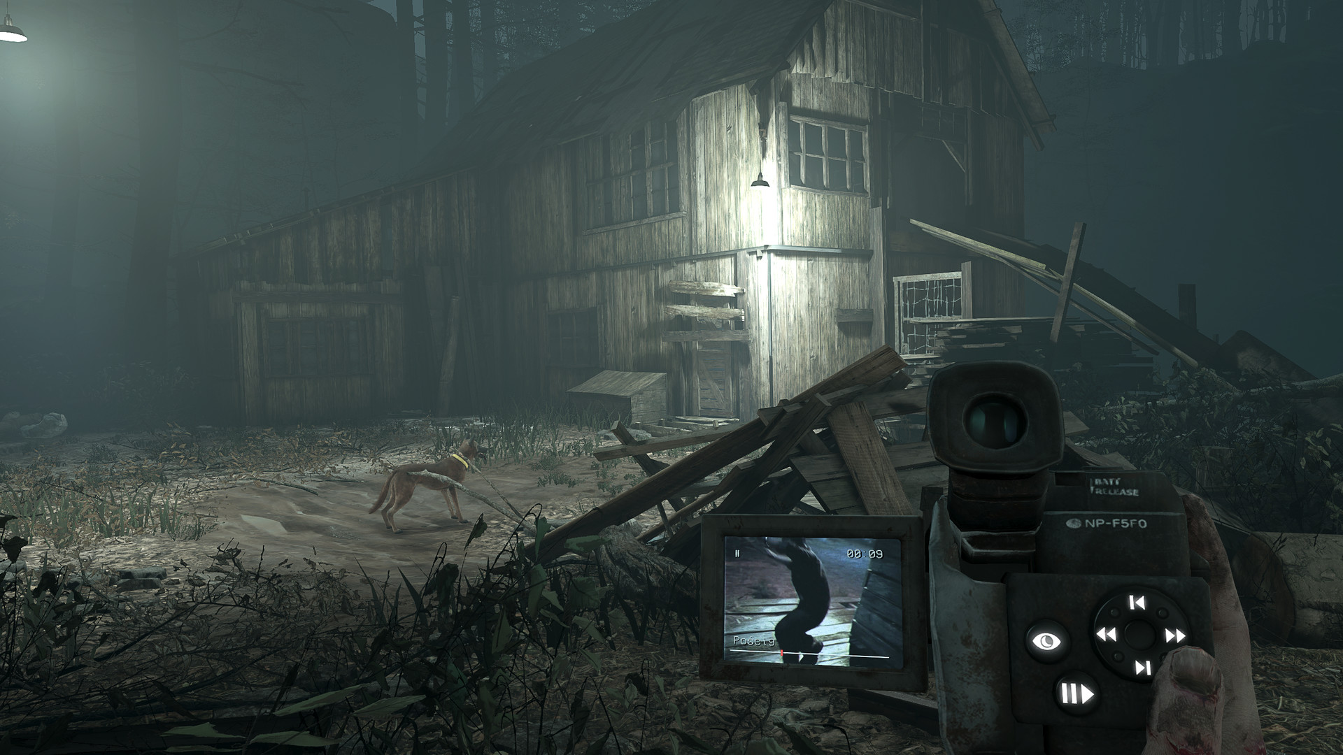 Blair Witch VR screenshot #2