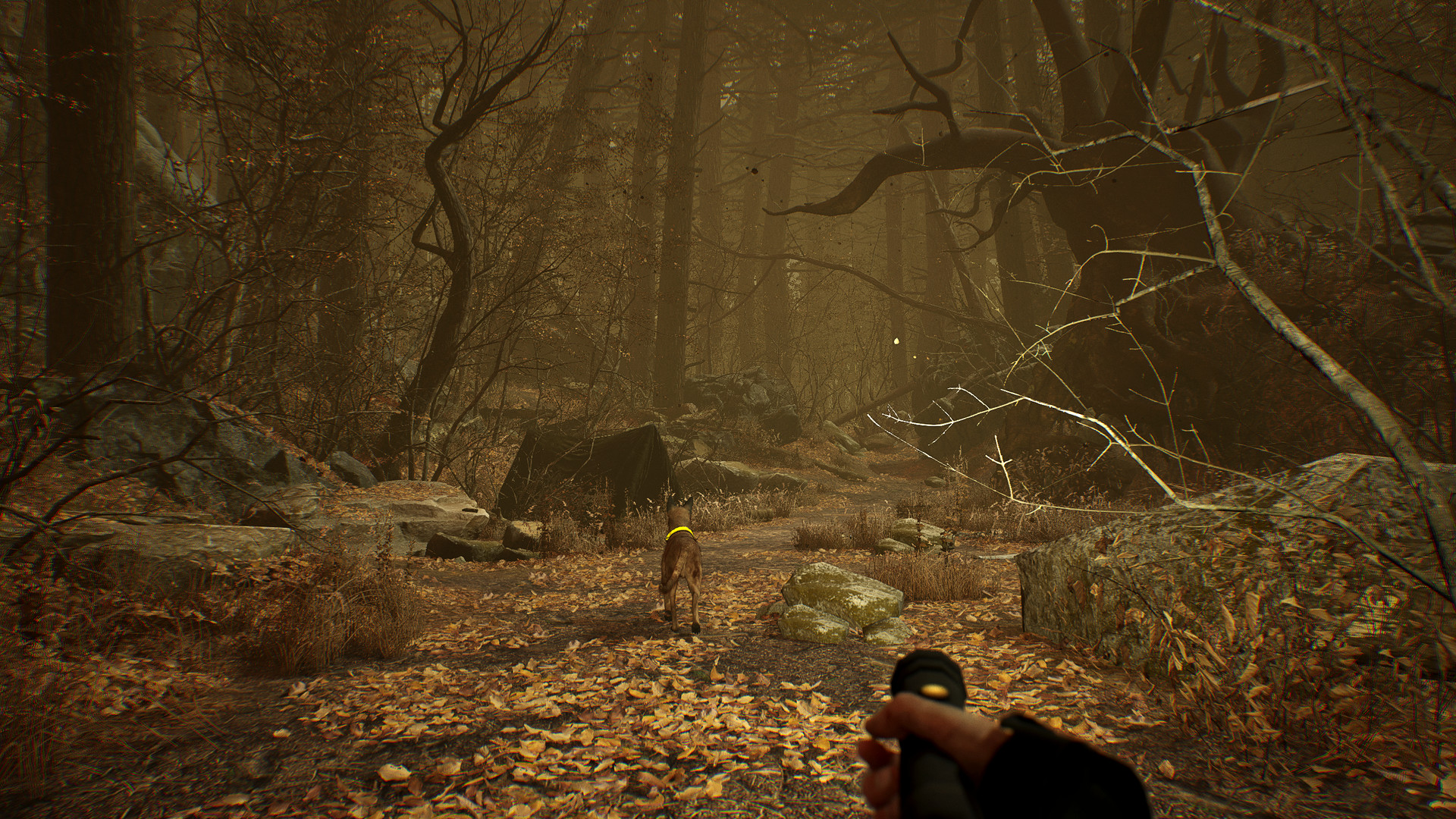 Blair Witch VR screenshot #5