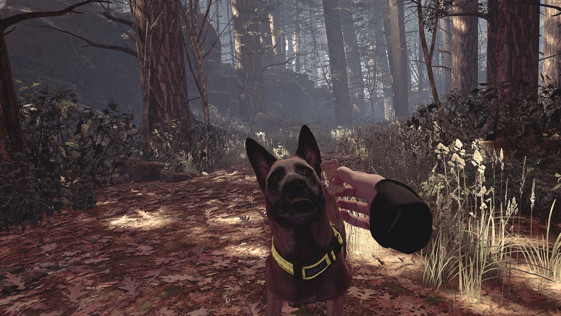 Blair Witch VR screenshot #9
