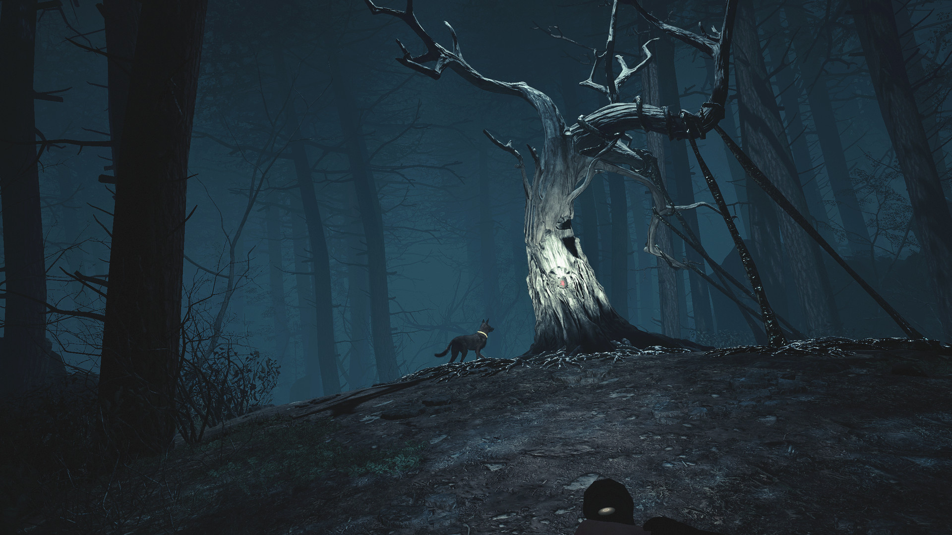 Blair Witch VR screenshot #4