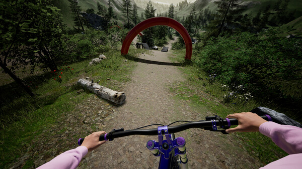 Screenshot z DownhillVR
