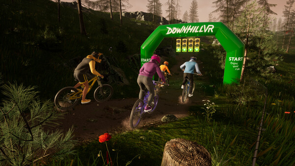 Screenshot z DownhillVR