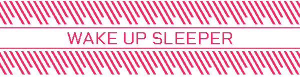 WAKE UP SLEEPER