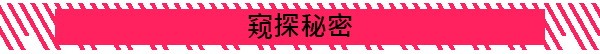 窥探秘密