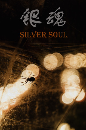 Обложка 银魂：Silver Soul