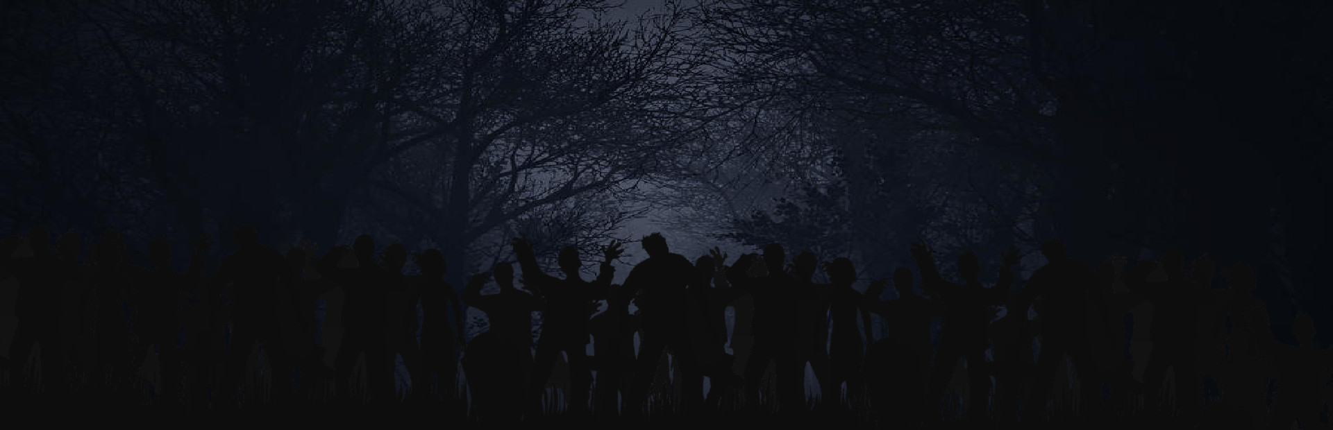 Survive Into Night
