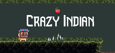 Crazy indian Cover Image