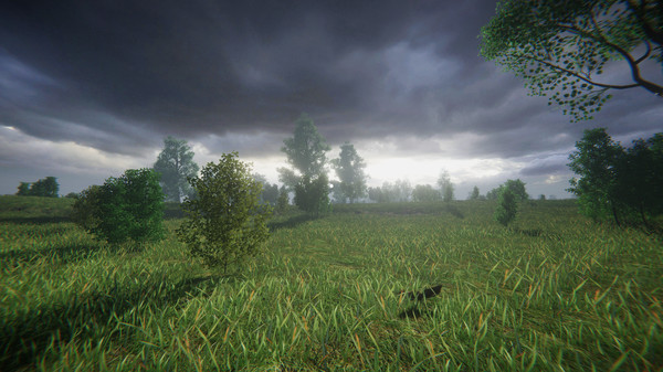 СИМУЛЯТОР ОДИНОЧЕСТВА В РУССКОЙ ДЕРЕВНЕ