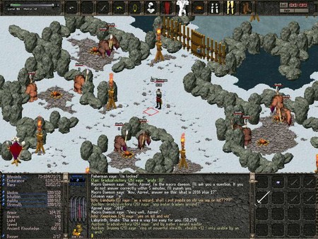 Astonia Resurgence screenshot 4