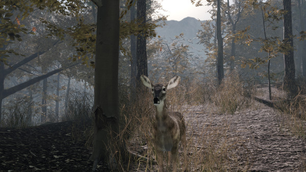 Screenshot z Pro Deer Hunting 2