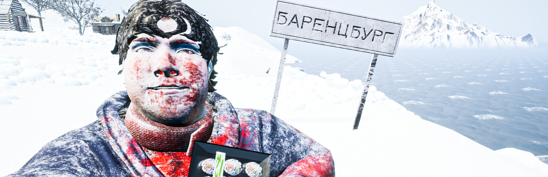 ArcticBoy: The Interactive Story
