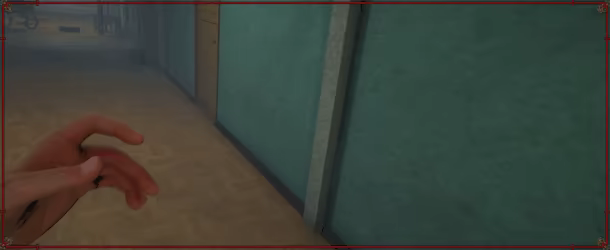 Self-Delusion video 2