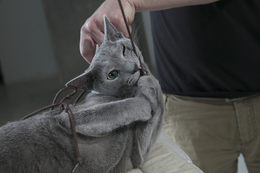 Behind the Art and Magic of Chicken Police