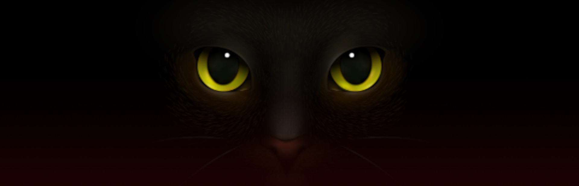 Marcella Moon: Curse of the Black Cat