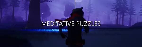 Raccoon Arrival video 2