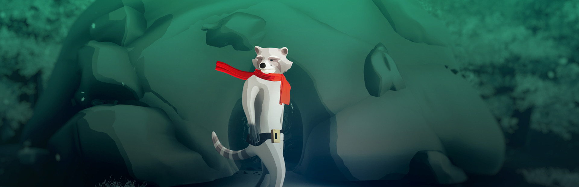 Raccoon Arrival