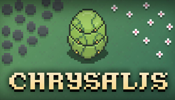 Chrysalis