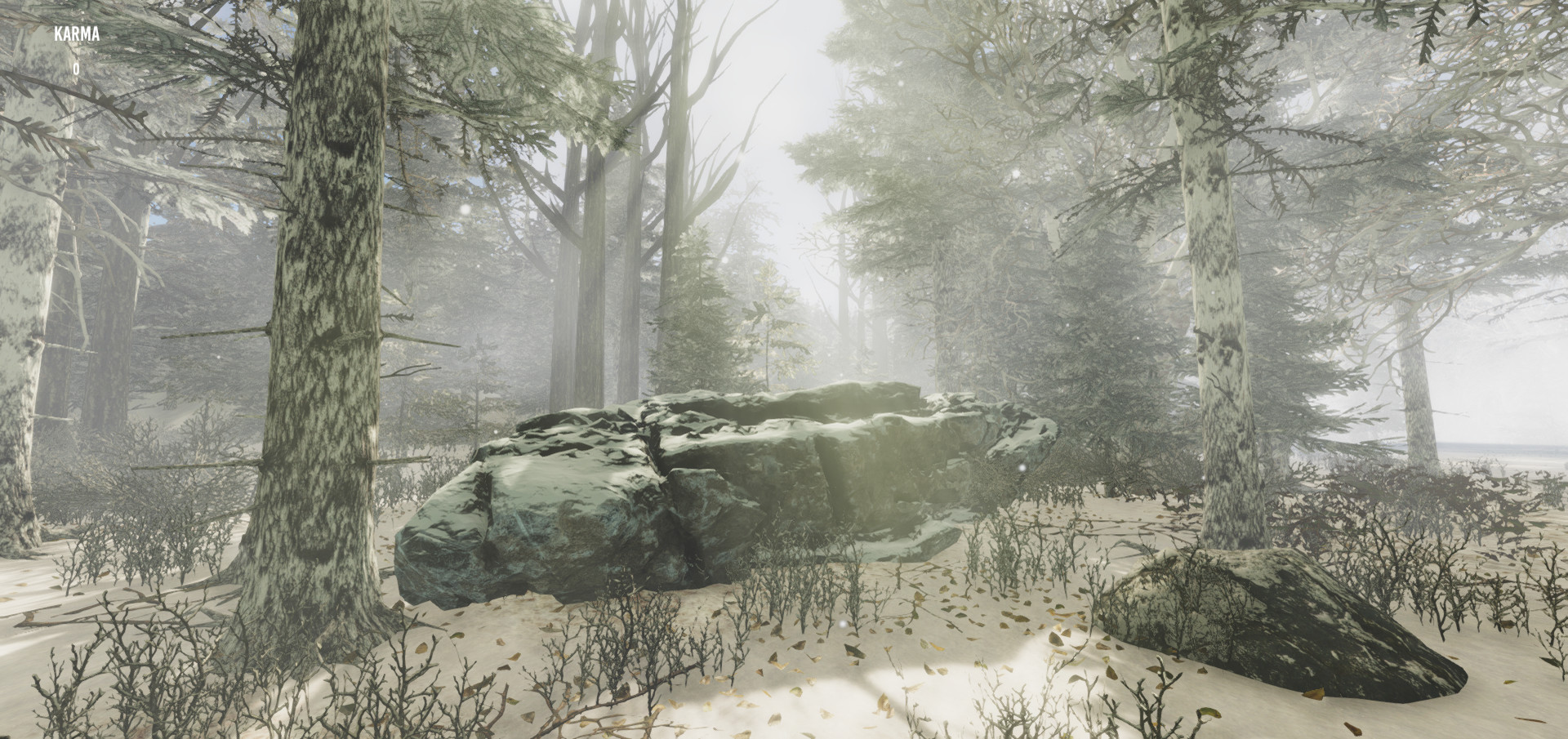 Gander National Park screenshot 4