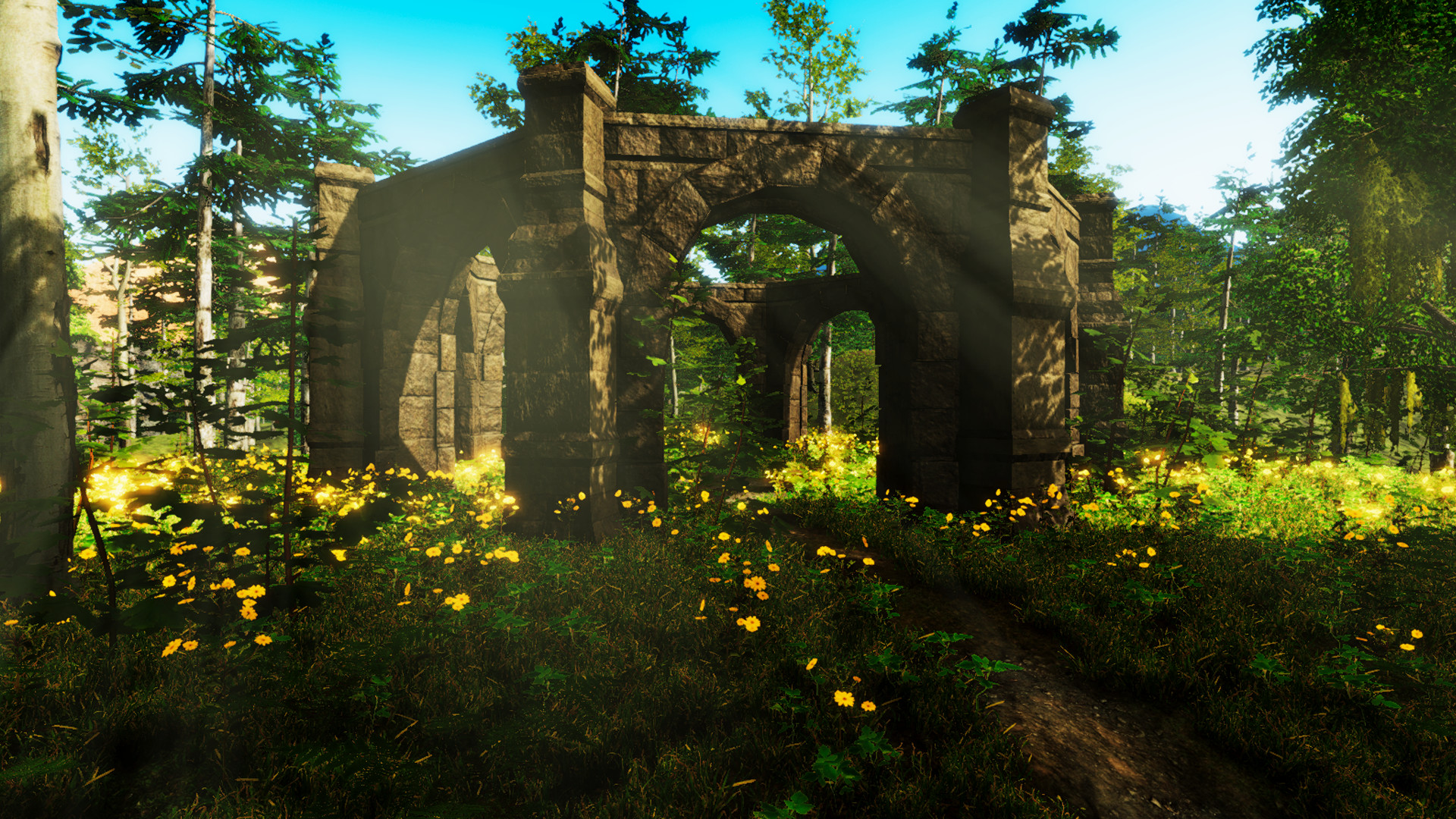 Gander National Park screenshot 12